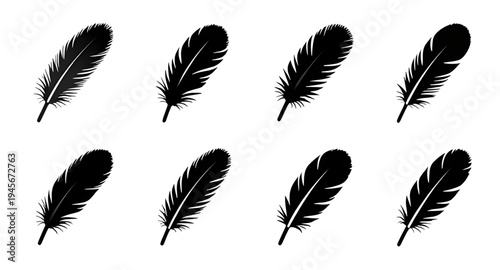 feather, feathers, plume, plumes, quill, quills, wing, wings, bird, avian, nature, light, soft, fluffy, floating, falling, fly, flying, silhouette, silhouettes, shadow, black, outline, shape, icon, sy