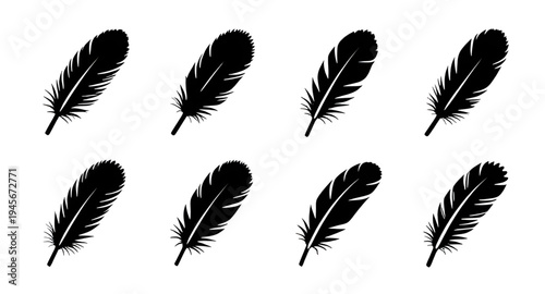 feather, feathers, plume, plumes, quill, quills, wing, wings, bird, avian, nature, light, soft, fluffy, floating, falling, fly, flying, silhouette, silhouettes, shadow, black, outline, shape, icon, sy