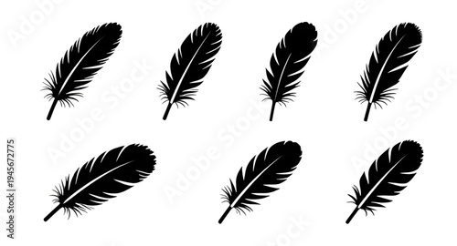 feather, feathers, plume, plumes, quill, quills, wing, wings, bird, avian, nature, light, soft, fluffy, floating, falling, fly, flying, silhouette, silhouettes, shadow, black, outline, shape, icon, sy
