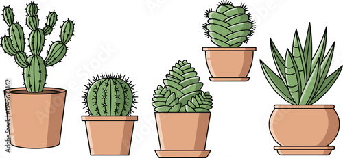 Cactus and succulent plants in terracotta pots indoor desert houseplants botanical greenery decorative set vector illustration