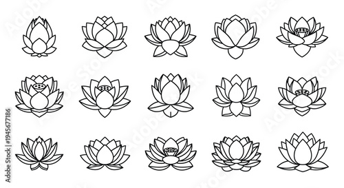 A collection of lotus flower designs in simple black outline silhouette