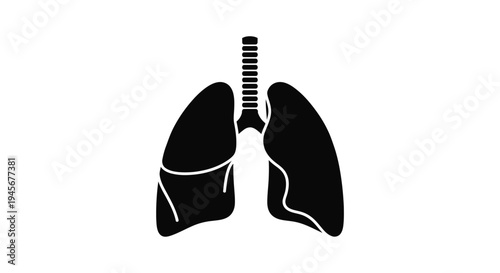 Anatomical illustration of human lungs a striking black silhouette