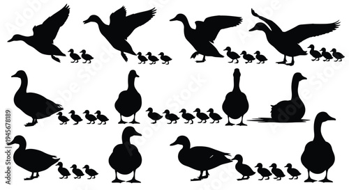A collection of black duck and gosling silhouettes in various poses