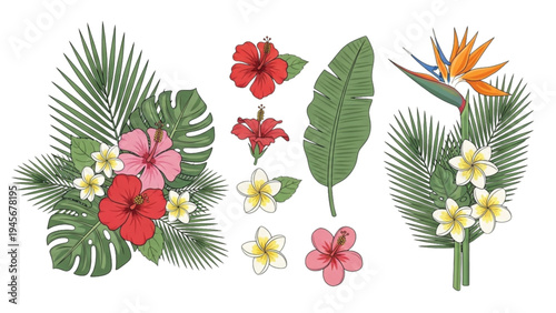 Tropical plants and flowers arrangement on white background