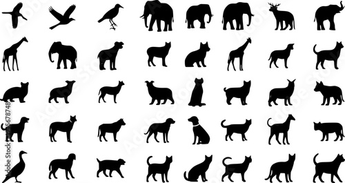 Solid black silhouettes collection of various animals, minimalist wildlife and domestic pets vector illustration isolated on white.