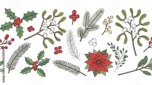 Illustration of various Christmas plants and flowers in full bloom on a white background