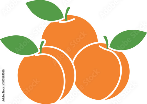 Illustration of three juicy and vibrant apricots with green leaves on transparent background