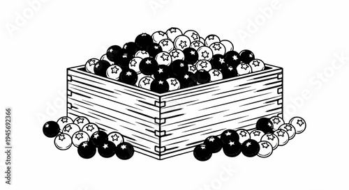 A wooden crate overflowing with dark and light blueberries, some spilled out