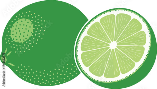 Green lime vector illustration set with whole and sliced citrus fruit on transparent background art
