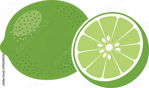 Healthy green lime vector set including whole fruit and sliced segment with seeds for recipe book art