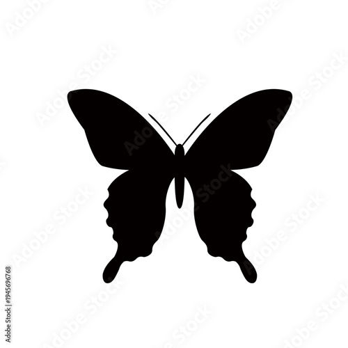 アゲハ蝶のシルエットイラスト　シンプルなチョウチョのイラスト