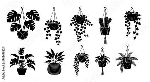 Hanging Indoor Houseplant Silhouette Set Monstera Cactus and Ivy Pot