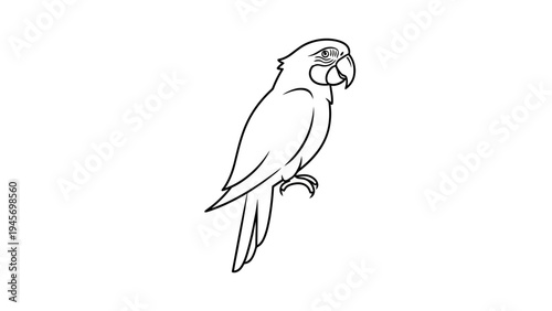 Simple Line Drawing of a Parrot Perched