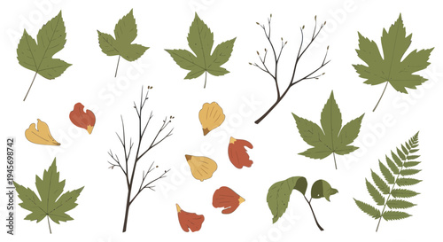 Realistic Autumn Maple Leaves and Dry Tree Branch Nature Collection