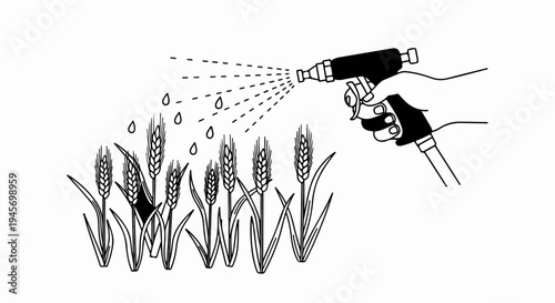 Hand spraying liquid onto ripe wheat stalks in a field