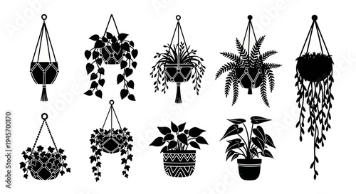 Indoor Hanging Macrame Plant Silhouette Collection for Modern Interior Decor