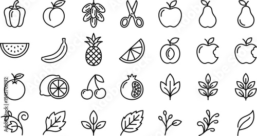 Hand drawn fruit and leaf line icon set with apple banana citrus botanical elements minimal outline vector illustration collection