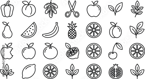 Hand drawn fruit and plant line icon set with apple banana citrus leaf botanical food elements minimal outline vector
