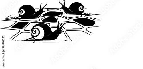 Three black snails with swirled shells traverse a broken, uneven stone path