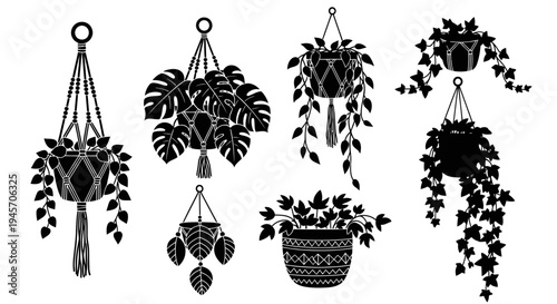 Black Silhouette Set Of Hanging Macrame Indoor House Plants Collection
