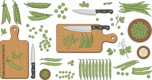 Fresh Green Peas Cooking and Preparation Set with Cutting Board, Knife, Pea Pods, Seeds, and Kitchen Ingredients for Healthy Food Illustration