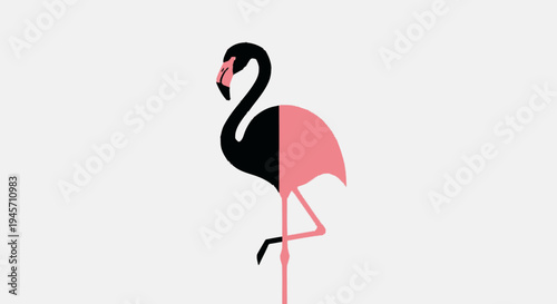 Black and Pink Flamingo Standing Illustration.