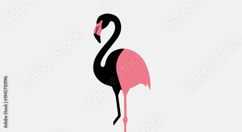 Black and Pink Flamingo Standing Illustration.