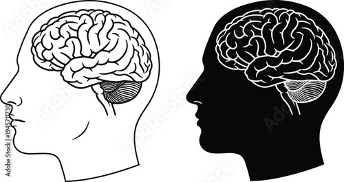 Human Head Profile with Brain Illustration in Black and White Silhouette Line Art Style for Medical Science Mental Health and Neurology