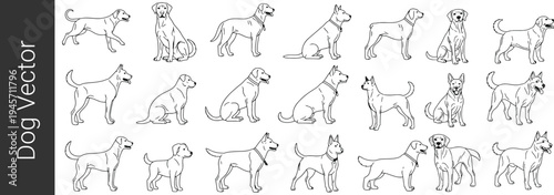 Dog Breed Outline Vector Set, Different Domestic Dogs Line Art Collection, Canine Standing and Sitting Poses Illustration Isolated on White Background