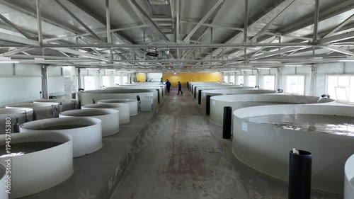 Rows of large circular aquaculture tanks in a modern indoor fish farming facility.