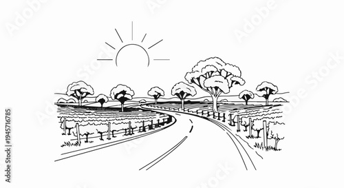 Winding road through vineyards under a stylized sun