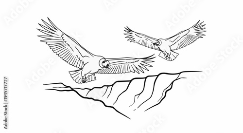 Two large birds with wings spread wide soar above a rocky cliff edge