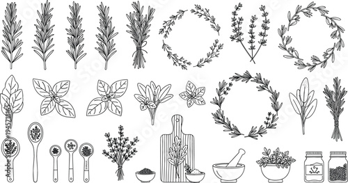 Hand Drawn Herbal Plants and Botanical Elements Collection with Leaves, Wreaths, Kitchen Herbs, Mortar Bowl, Spoons, and Natural Organic Illustration Set