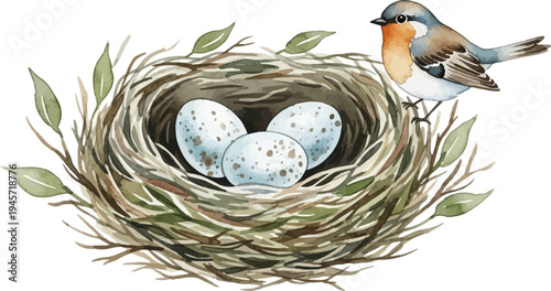 Watercolor illustration of a bird perched on a nest with three eggs and leaves