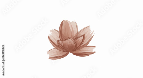 Watercolor painting of a single bloom with delicate, spread petals