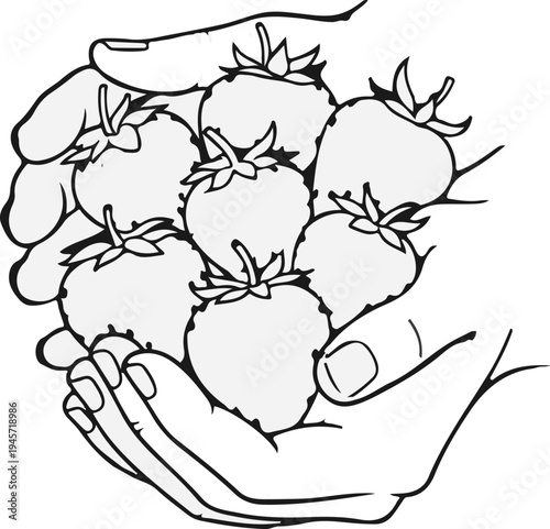 Two hands holding a cluster of ripe strawberries