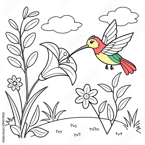 Coloring page hummingbird nectar flower garden outline with an outline illustrat