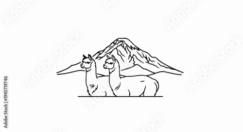 Two alpacas stand before a snow-capped mountain in a black and white line drawing