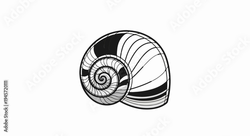 Stylized spiral shell illustration with alternating black and white stripes