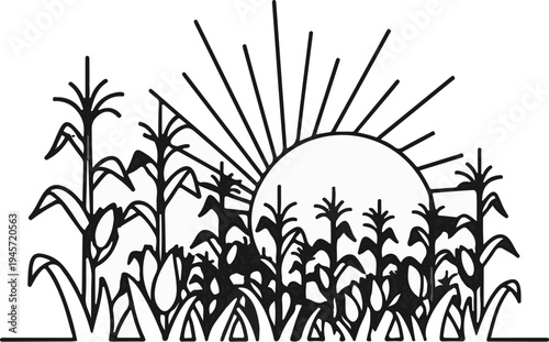 Stylized sun rays over a field of growing corn stalks