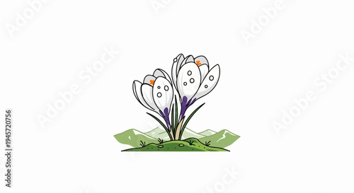 Two white crocuses bloom on a grassy hill with rolling green mountains