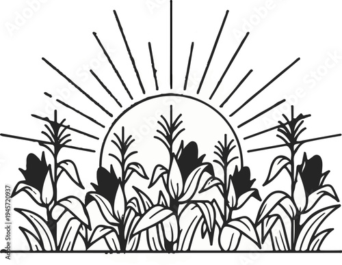 Stylized sun setting behind a field of cornstalks with ripening ears