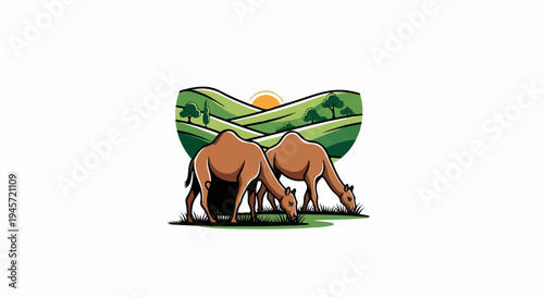 Two camels graze in a green rolling landscape under a bright sun