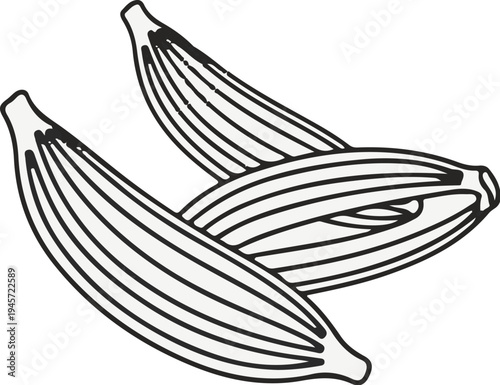 Three dried seeds with ribbed pods and a slight curve