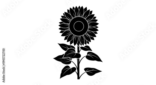 Black sunflower with leaves.