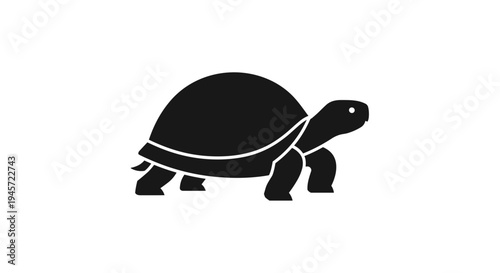 Black turtle silhouette walking slow.