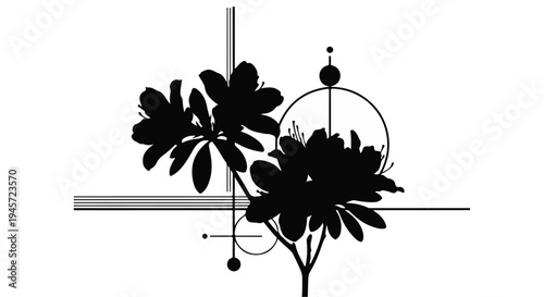 A dramatic black silhouette of a flowering branch is overlaid upon precise geometric shapes including circles and intersecting lines for a modern design.