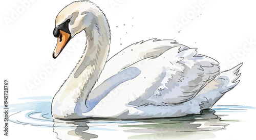 A beautiful white swan swimming peacefully in calm water with a serene expression.
