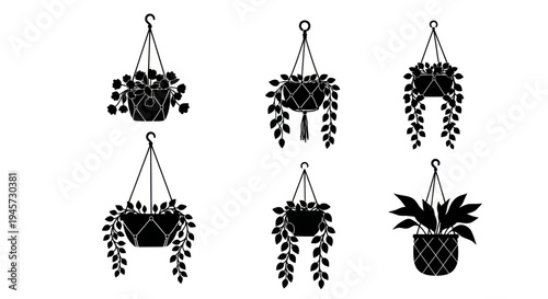 Collection Of Hanging Plants In Pots Silhouette For Home Decor