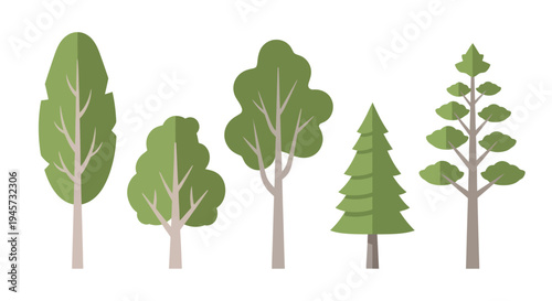 Flat Vector Tree Collection With Various Green Forest Species Designs